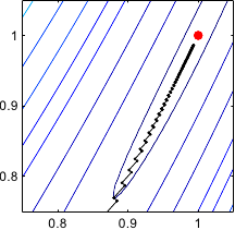 Image gradient-descent-zoom