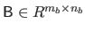 $ \mathsf{B} \in R^{m_b \times n_b}$